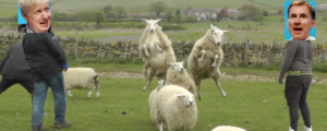 Herding sheep or electing a new leader - is there common ground? - Boris-Jeremy-sheep-1200×480