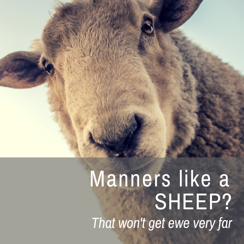 What can ewe learn from bad-mannered sheep? - Manners-like-a-sheep-rw-2