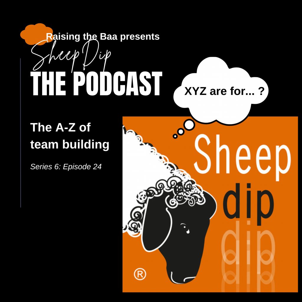 In team building, X Y and Z are for ...?-Podcast cover 2 (10)