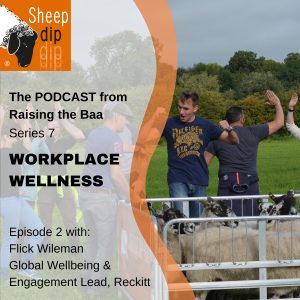Workplace Wellness - with Flick Wileman, Reckitt - Workplace Wellness podcast (1)