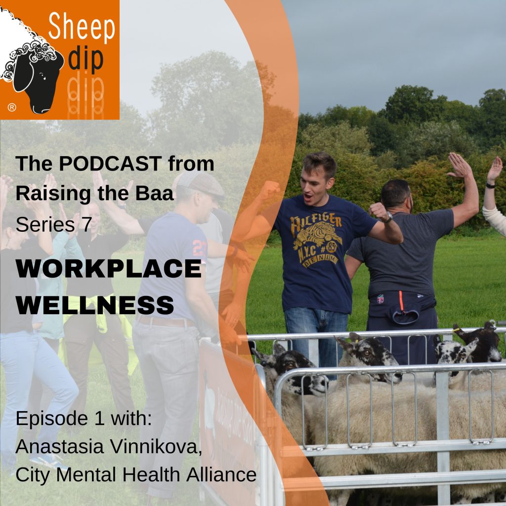 Workplace Wellness - with Anastasia Vinnikova, City Mental Health Alliance - Workplace Wellness podcast