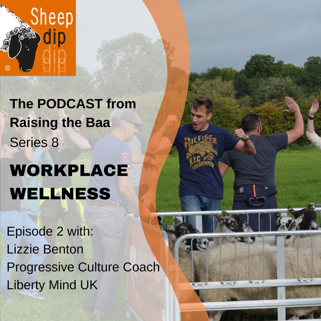 Workplace Wellness - with Lizzie Benton, Liberty Mind UK - Workplace Wellness podcast (5)