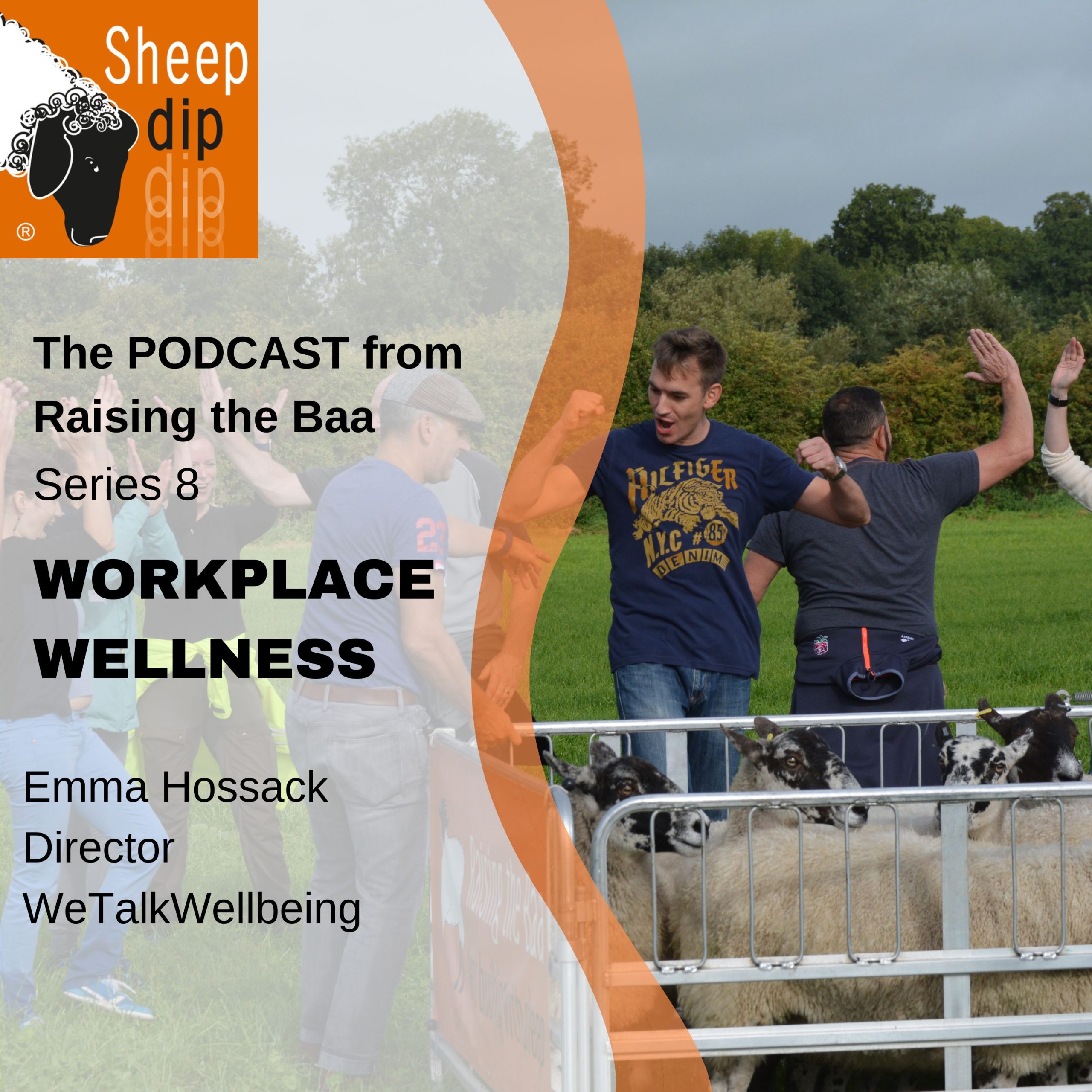 Workplace Wellbeing - with Emma Hossack, WeTalkWellbeing - Workplace Wellness podcast (7)