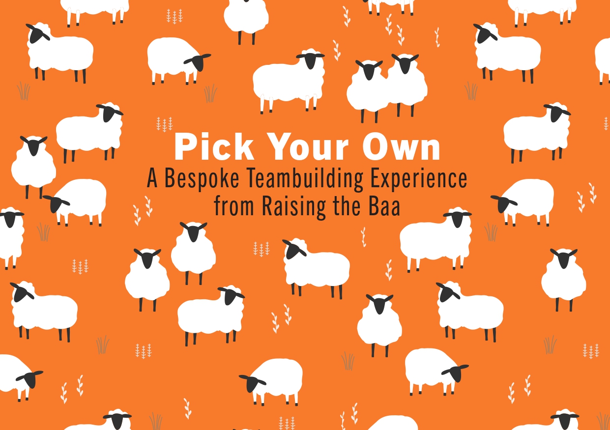 Raising The Baa - Herding sheep is not for everyone. Herding sheep is not for everyone. - PYO brochure_page-0001