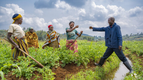 Raising The Baa - 137 African families and counting... 137 African families and counting... - ganca_farmers_burundi